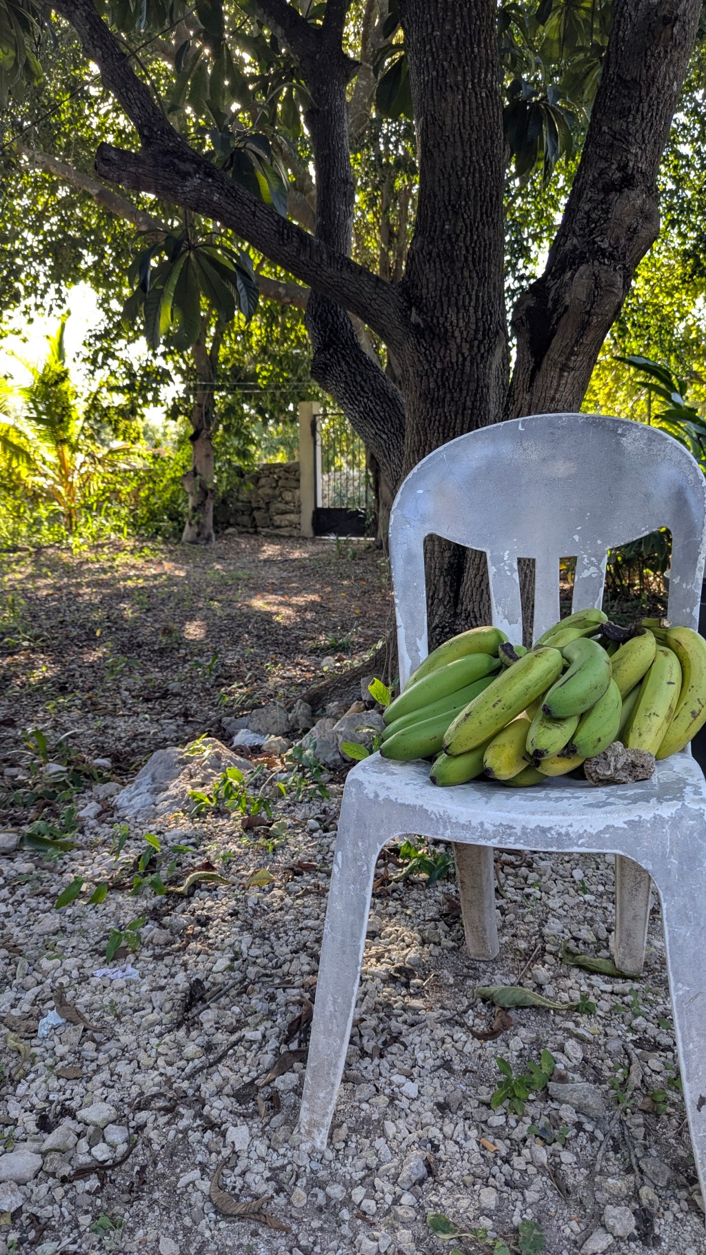 I’m Successful Because I’m&nbsp;Lazy